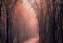 九游：[德甲]五轮不胜 荷尔斯泰因不敌法兰克福.