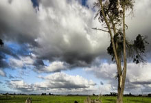 亚太锦标赛月底开锣，常冰玉和彭奕淞报名，欲复制雷佩凡职业路.