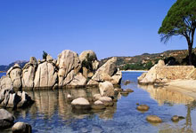 美职棒常规赛东京揭幕 道奇队取得“开门红.